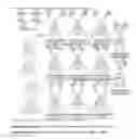 Fig. 12 - Modular synthesis of amphiphilic Janus glycodendrimers and their self-assembly into glycodendrimersomes