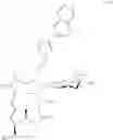 Fig. 132 - Tylosin derivatives and method for preparation thereof