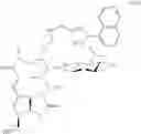 Fig. 156 - Tylosin derivatives and method for preparation thereof
