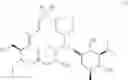 Fig. 19 - Tylosin derivatives and method for preparation thereof