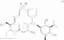 Fig. 21 - Tylosin derivatives and method for preparation thereof