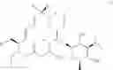 Fig. 25 - Tylosin derivatives and method for preparation thereof
