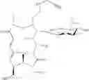Fig. 90 - Tylosin derivatives and method for preparation thereof