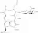 Fig. 91 - Tylosin derivatives and method for preparation thereof