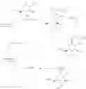 Fig. 26 - GLUCOPYRANOSIDE COMPOUND