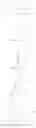 Fig. 271 - GLUCOPYRANOSIDE COMPOUND
