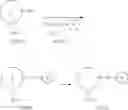 Fig. 47 - GLUCOPYRANOSIDE COMPOUND