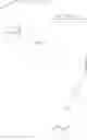Fig. 136 - SYNTHESIS OF ENT-PROGESTERONE AND INTERMEDIATES THEREOF