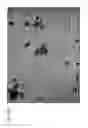 Fig. 27 - Preparation and uses of obeticholic acid