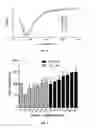 Fig. 02 - Peptide stimulator of cell survival and proliferation