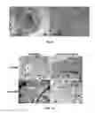 Fig. 06 - Peptide stimulator of cell survival and proliferation