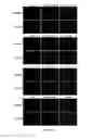 Fig. 07 - Peptide stimulator of cell survival and proliferation