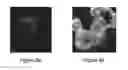 Fig. 15 - Therapeutics for the induction of endogenous steroidogenesis and methods associated with their identification