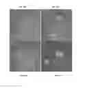 Fig. 06 - Anti-angiogenic molecules, nanostructures and uses thereof