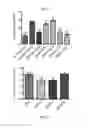Fig. 07 - Anti-angiogenic molecules, nanostructures and uses thereof