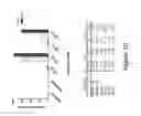 Fig. 11 - BIOLOGICALLY ACTIVE PEPTIDOMIMETIC MACROCYCLES