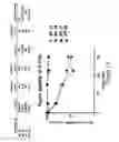 Fig. 14 - BIOLOGICALLY ACTIVE PEPTIDOMIMETIC MACROCYCLES