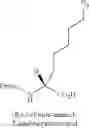 Fig. 82 - BIOLOGICALLY ACTIVE PEPTIDOMIMETIC MACROCYCLES
