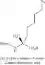 Fig. 84 - BIOLOGICALLY ACTIVE PEPTIDOMIMETIC MACROCYCLES