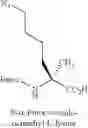 Fig. 88 - BIOLOGICALLY ACTIVE PEPTIDOMIMETIC MACROCYCLES