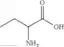 Fig. 07 - Cyclic polypeptides for the treatment of heart failure