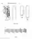 Fig. 02 - Cyclized transthyretin peptide and methods of use therefor