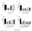 Fig. 10 - Cyclized transthyretin peptide and methods of use therefor