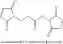 Fig. 12 - THERAPEUTIC PEPTIDES