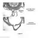 Fig. 05 - Vectors encoding rod-derived cone viability factor