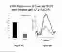 Fig. 08 - Vectors encoding rod-derived cone viability factor