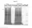 Fig. 11 - Interference peptides and use thereof