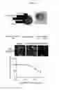Fig. 25 - Interference peptides and use thereof