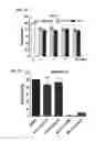 Fig. 04 - Apolipoprotein E polypeptides and their use