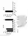 Fig. 10 - Apolipoprotein E polypeptides and their use