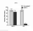 Fig. 13 - Apolipoprotein E polypeptides and their use