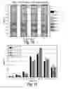 Fig. 09 - Methods of shifting an isoelectric profile of a protein product and uses thereof