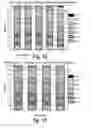 Fig. 12 - Methods of shifting an isoelectric profile of a protein product and uses thereof