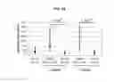 Fig. 03 - VEGF-SPECIFIC ANTAGONISTS FOR ADJUVANT AND NEOADJUVANT THERAPY AND THE TREATMENT OF EARLY STAGE TUMORS