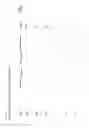 Fig. 03 - Protein purification