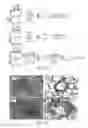 Fig. 02 - Methods for treatment comprising an antibody that binds CD223 protein