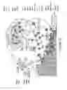 Fig. 20 - Antibody molecules to PD-L1 and uses thereof