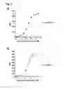Fig. 03 - CD20 Antibodies and Uses Thereof