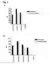 Fig. 05 - CD20 Antibodies and Uses Thereof