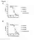 Fig. 07 - CD20 Antibodies and Uses Thereof