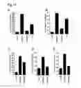 Fig. 14 - CD20 Antibodies and Uses Thereof