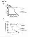 Fig. 16 - CD20 Antibodies and Uses Thereof