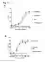 Fig. 18 - CD20 Antibodies and Uses Thereof
