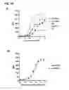 Fig. 19 - CD20 Antibodies and Uses Thereof
