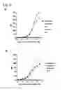 Fig. 20 - CD20 Antibodies and Uses Thereof