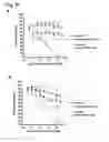 Fig. 28 - CD20 Antibodies and Uses Thereof